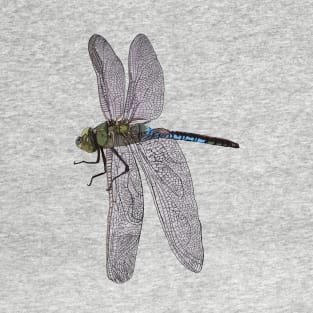 Dragonfly T-Shirt